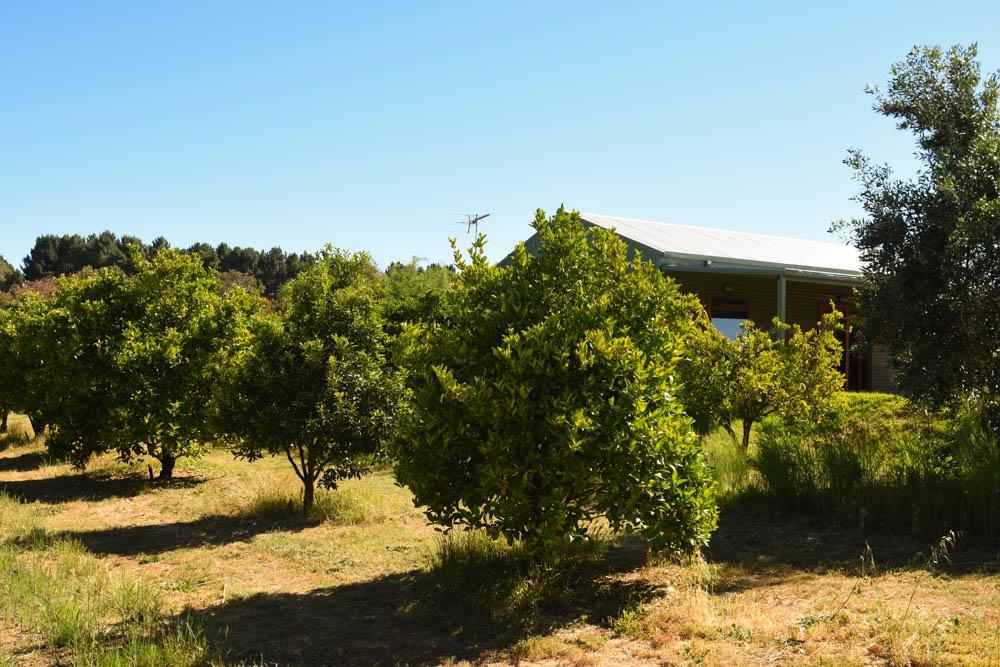 Swan Valley Sisters Henley Brook エクステリア 写真