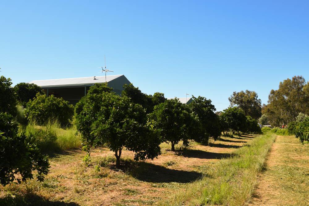 Swan Valley Sisters Henley Brook エクステリア 写真