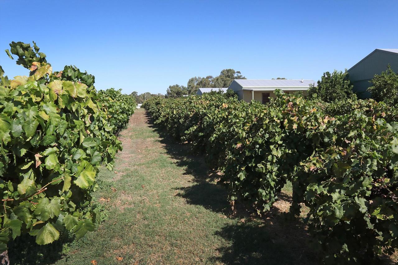 Swan Valley Sisters Henley Brook エクステリア 写真